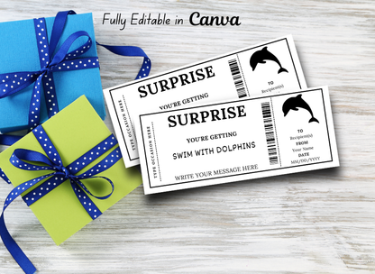 Swim with Dolphins Gift Ticket - Birthday Train Boarding Pass Voucher - Printable Gift Certificate Template, Instant Download