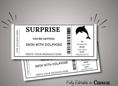 Swim with Dolphins Gift Ticket - Birthday Train Boarding Pass Voucher - Printable Gift Certificate Template, Instant Download